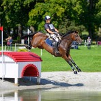 Da Candelo ai Mondiali di equitazione: Francesco Aondio Bertero e il sogno delle Olimpiadi Da Candelo ai Mondiali di equitazione: Francesco Aondio Bertero e il sogno delle Olimpiadi