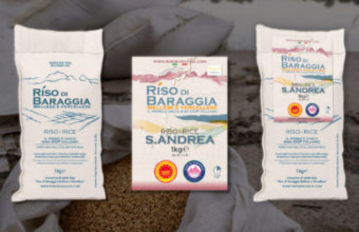 riso baraggia
