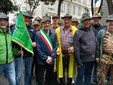 Gruppo Alpini Tavigliano Gruppo Alpini Tavigliano