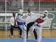 Taekwondo: White Fox sugli scudi agli interregionali di combattimento in Piemonte Taekwondo: White Fox sugli scudi agli interregionali di combattimento in Piemonte