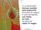 Biella, Selvatica: Giornata Mondiale della Biodiversità.