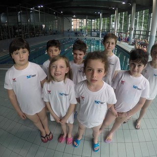 Il Gruppo Propaganda