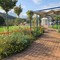 Il “Giardino Ritrovato” della Residenza Ines e Piera Capellaro di Mongrando in tv Il “Giardino Ritrovato” della Residenza Ines e Piera Capellaro di Mongrando in tv