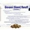 Giovanni (Gianni) Renolfi Giovanni (Gianni) Renolfi