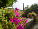 Giardino privato di Ermenegildo Zegna, in calendario due visite guidate speciali Giardino privato di Ermenegildo Zegna, in calendario due visite guidate speciali