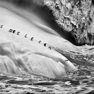 “Ghiacciai”: 54 fotografie di Sebastião Salgado in mostra al Forte di Bard