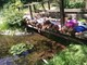 Agosto al Giardino Botanico di Oropa, tra laboratori e podcast Agosto al Giardino Botanico di Oropa, tra laboratori e podcast