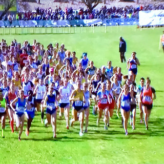 Foto dell'edizione 2017