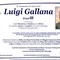 Luigi Gallana