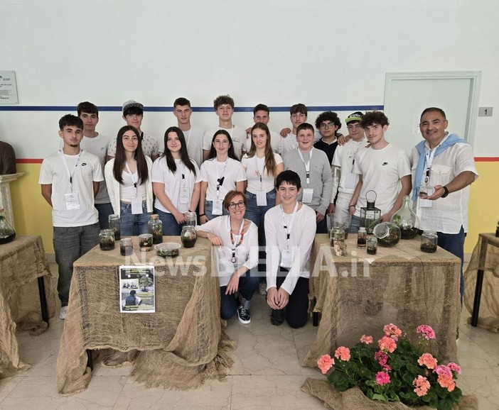 Scienza, arte e inclusione: i terrari del Gae Aulenti ecosistemi di comunità Scienza, arte e inclusione: i terrari del Gae Aulenti ecosistemi di comunità