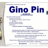 Gino Pin