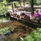 Agosto al Giardino Botanico di Oropa, tra laboratori e podcast