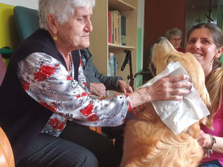 Maverick ha tenuto compagnia agli ospiti nell' RSA a Ronco Biellese