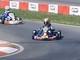 rally e co