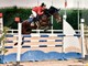equitazione equitazione