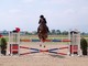 Equitazione: Week end ricco di soddisfazioni a None presso gli impianti dell' Horse Bridge Club