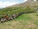 I consigli del fine settimana: Natura e due ruote al Rifugio Alpe Cavanna e Alpe di Grè VIDEO I consigli del fine settimana: Natura e due ruote al Rifugio Alpe Cavanna e Alpe di Grè VIDEO
