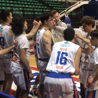 basket biella