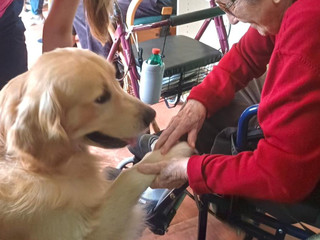 Maverick ha tenuto compagnia agli ospiti nell' RSA a Ronco Biellese