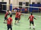 Volley U 17: Occhieppo non va a segno contro Vercelli, ma non regala nulla Volley U 17: Occhieppo non va a segno contro Vercelli, ma non regala nulla