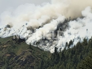Valessera, l'incendio si propaga a valle: AIB e Vigili del Fuoco in azione Valessera, l'incendio si propaga a valle: AIB e Vigili del Fuoco in azione