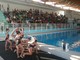 Alla Rivetti il primo saggio di nuoto sincronizzato di In Sport Biella Alla Rivetti il primo saggio di nuoto sincronizzato di In Sport Biella
