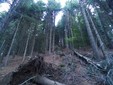 Galleria Rosazza, cantiere forestale: i divieti su strada e sentiero