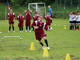 Calcio: L'ultimo raduno stagionale dei 'piccoli amici' di quattro società Calcio: L'ultimo raduno stagionale dei 'piccoli amici' di quattro società