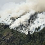 Valessera, l'incendio si propaga a valle: AIB e Vigili del Fuoco in azione Valessera, l'incendio si propaga a valle: AIB e Vigili del Fuoco in azione