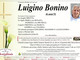 Luigino Bonino