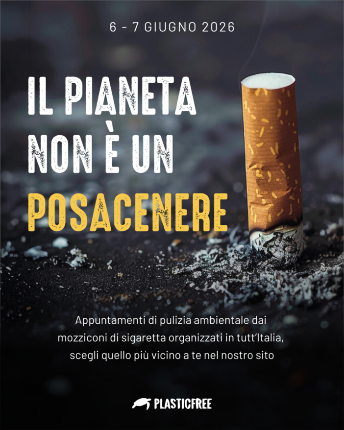 Giornata mondiale senza tabacco: non solo fumo, i mozziconi minacciano ambiente e salute Giornata mondiale senza tabacco: non solo fumo, i mozziconi minacciano ambiente e salute