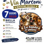 Biella: ‘Domenica in Via Marconi’, una giornata dedicata al benessere animale Biella: ‘Domenica in Via Marconi’, una giornata dedicata al benessere animale