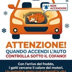 Con il freddo attenzione ai gatti nei motori: i consigli del comune di Candelo Con il freddo attenzione ai gatti nei motori: i consigli del comune di Candelo