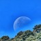 Rosazza: il tramonto della Luna in pieno giorno Rosazza: il tramonto della Luna in pieno giorno