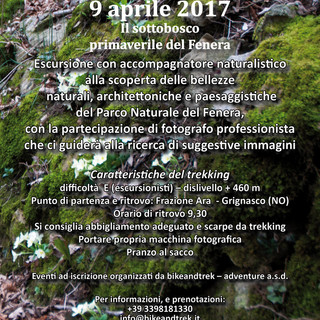 Trekking: 9 aprile, “Il sottobosco primaverile del Fenera”