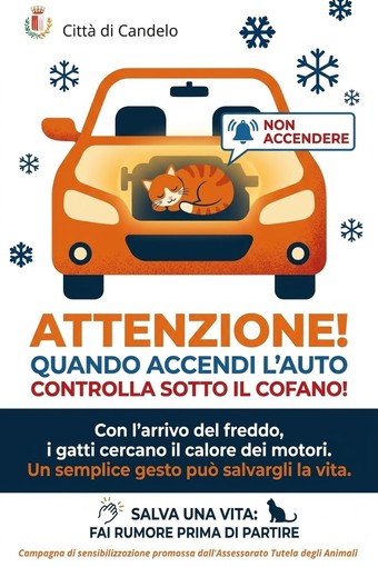 Con il freddo attenzione ai gatti nei motori: i consigli del comune di Candelo Con il freddo attenzione ai gatti nei motori: i consigli del comune di Candelo