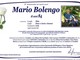 Mario Bolengo