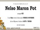 Nelso Maron Pot