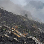 Rifugio Monte Barone, il primo sopralluogo dopo l’incendio - Foto pagina Facebook RIfugio Monte Barone Rifugio Monte Barone, il primo sopralluogo dopo l’incendio - Foto pagina Facebook RIfugio Monte Barone