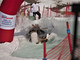 Foto Gloria Landi Foto Gloria Landi