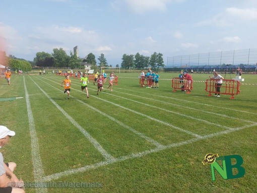Mottalciata, il Comune affida il campo sportivo Mottalciata, il Comune affida il campo sportivo