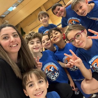 Minivolley s3 Minivolley s3