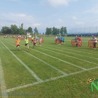 Mottalciata, il Comune affida il campo sportivo Mottalciata, il Comune affida il campo sportivo