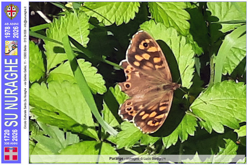 Biodiversità nel Biellese: un dono dei Sardi alla terra di adozione: Marzo