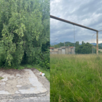 Pavignano chiede interventi: “Quartiere di serie B? Servono maggiore attenzione” Pavignano chiede interventi: “Quartiere di serie B? Servono maggiore attenzione”