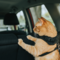Viaggiare con gli animali domestici: regole e accessori per un trasporto sicuro Viaggiare con gli animali domestici: regole e accessori per un trasporto sicuro