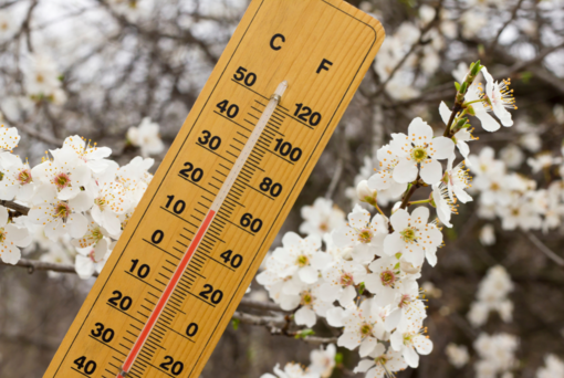 Primavera 2026, nel Biellese temperature sopra la media e piogge più scarse - Foto di repertorio Primavera 2026, nel Biellese temperature sopra la media e piogge più scarse - Foto di repertorio