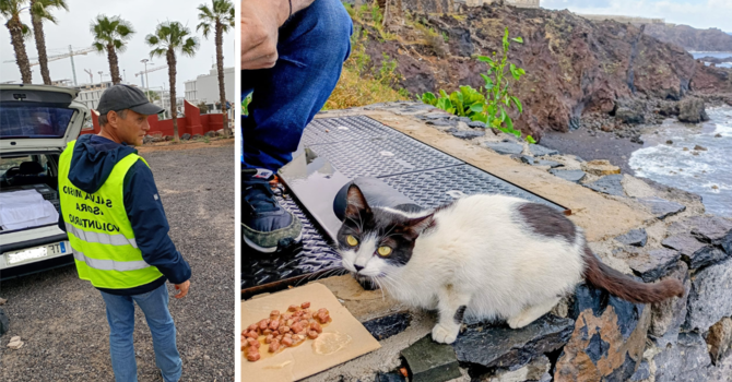 Dall'amore per gli animali alla cura delle colonie feline: Alessandro Argentero volontario a Tenerife