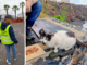 Dall'amore per gli animali alla cura delle colonie feline: Alessandro Argentero volontario a Tenerife Dall'amore per gli animali alla cura delle colonie feline: Alessandro Argentero volontario a Tenerife