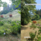 Parco Burcina, proseguono gli interventi di manutenzione del verde Parco Burcina, proseguono gli interventi di manutenzione del verde